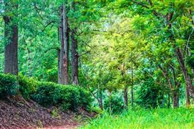 &quot;Flower Delivery Marksville La